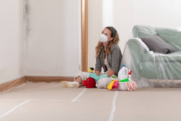 Reliable Mold Cleanup contractor in East Brunswick, NJ by Cheap Mold Removal